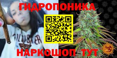 стаф Изобильный