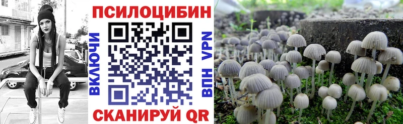 Галлюциногенные грибы Cubensis  ОМГ ОМГ ссылки  Узловая 